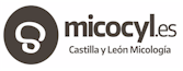 Micocyl